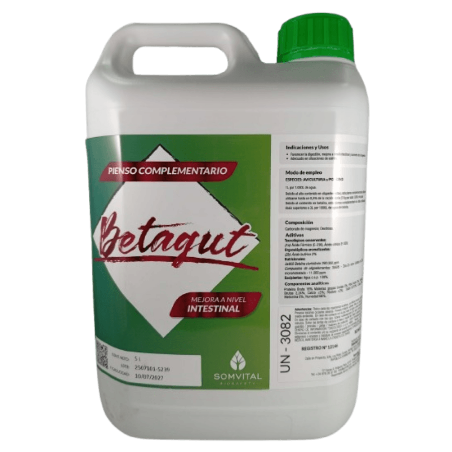 Betagut